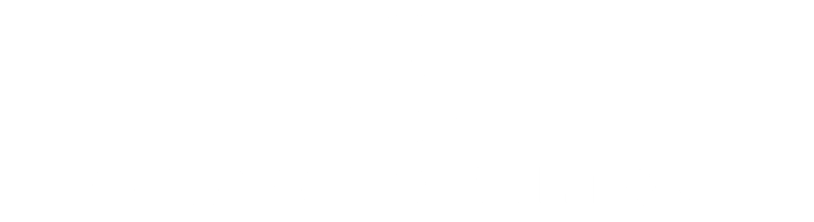 Logo Orange Target Group